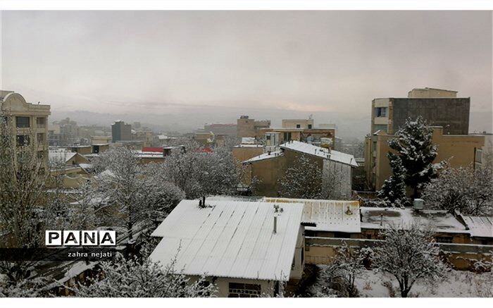 بارش برف در شهرستان دماوند