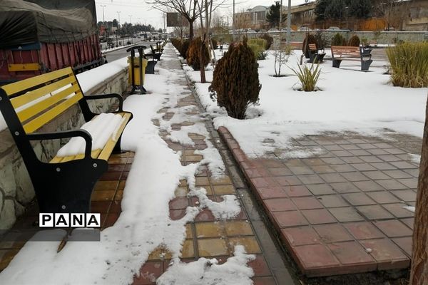 بارش برف در شهرستان دماوند