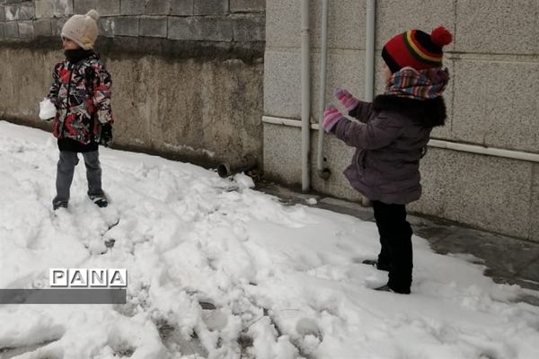 بارش برف در شهرستان دماوند