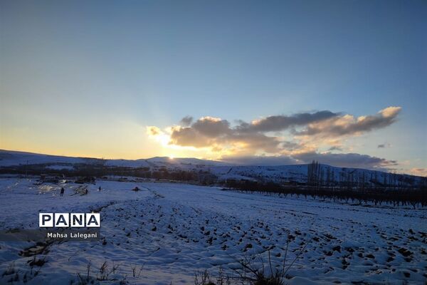 طبیعت برفی هماشهر در سپیدان