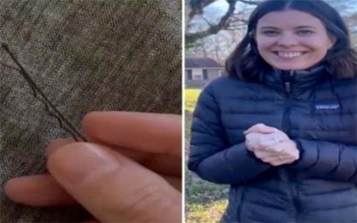 داستان یک سنجاق سر که باعث خرید خانه‌ گران‌قیمت شد