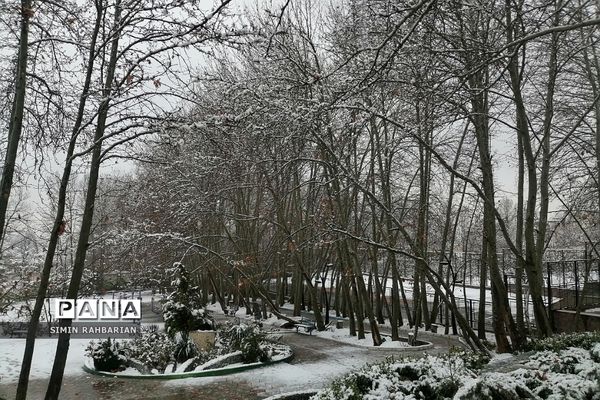 برف، زندگی می‌بارد