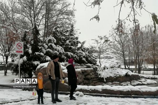 برف، زندگی می‌بارد