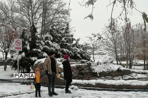 برف، زندگی می‌بارد
