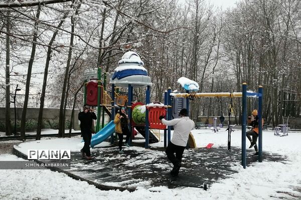 برف، زندگی می‌بارد