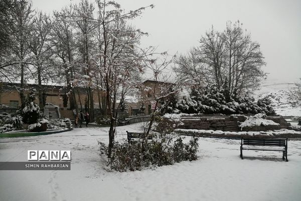 برف، زندگی می‌بارد