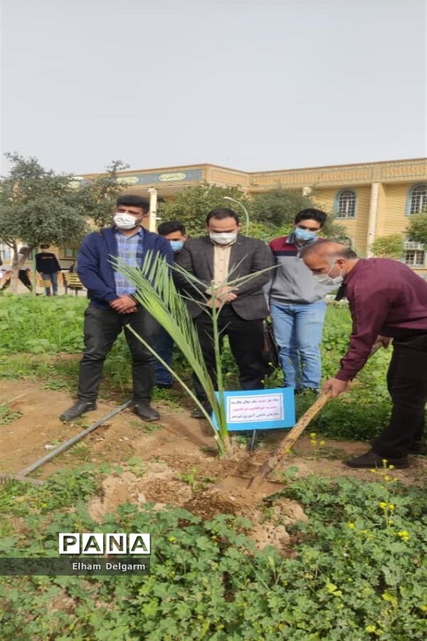 آیین درختکاری در مدارس شوشتر