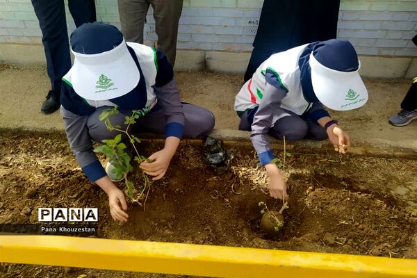آیین گرامیداشت روز درختکاری و هفته منابع طبیعی در خوزستان