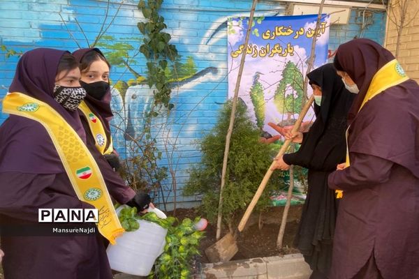 پیشتاز برای ایرانی سرسبز با کاشت نهال