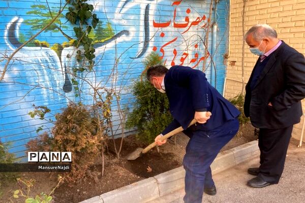 پیشتاز برای ایرانی سرسبز با کاشت نهال