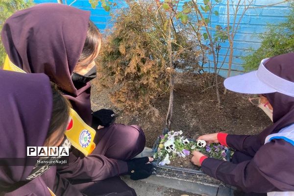 پیشتاز برای ایرانی سرسبز با کاشت نهال