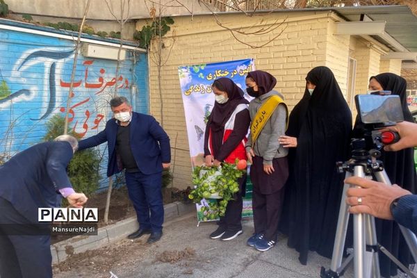 پیشتاز برای ایرانی سرسبز با کاشت نهال