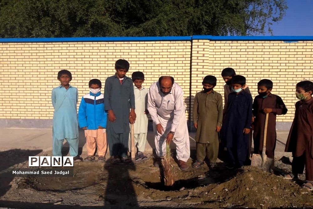 نکوداشت روز درختکاری در منطقه پلان