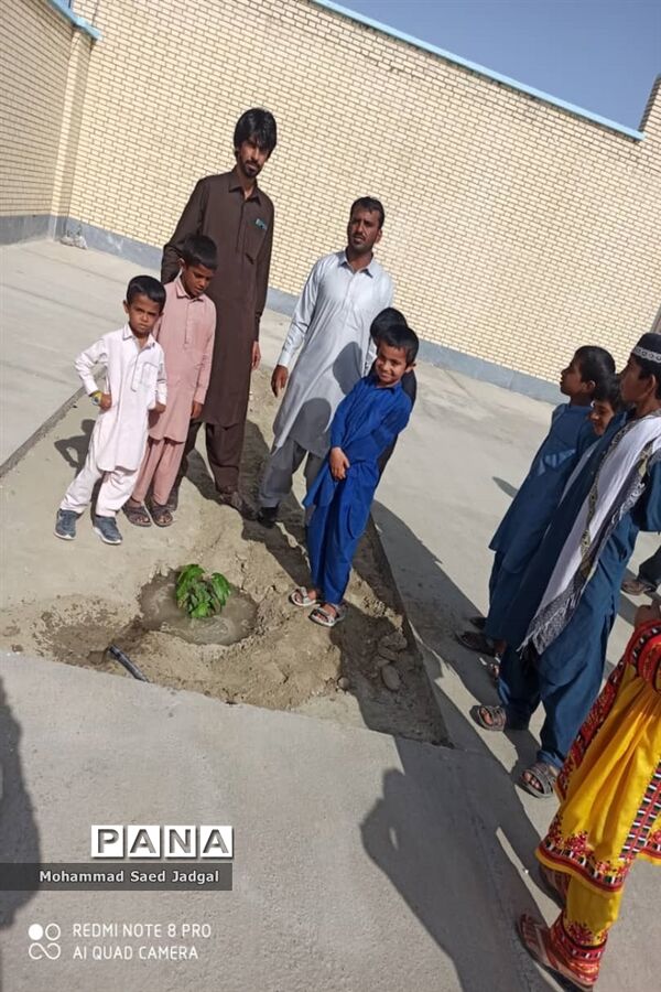 نکوداشت روز درختکاری در منطقه پلان