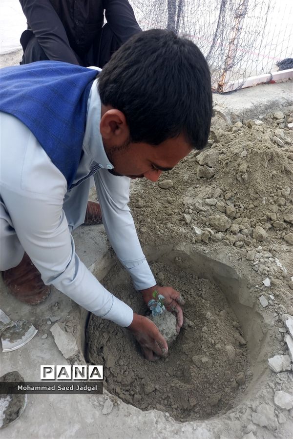 نکوداشت روز درختکاری در منطقه پلان