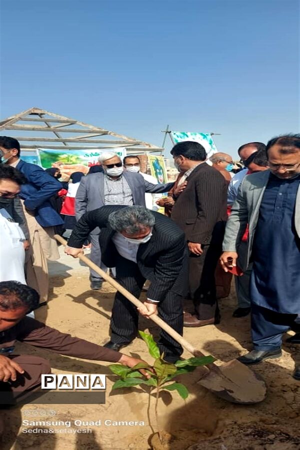 سنت حسنه درختکاری در چابهار