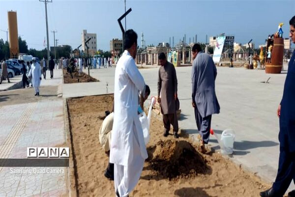سنت حسنه درختکاری در چابهار