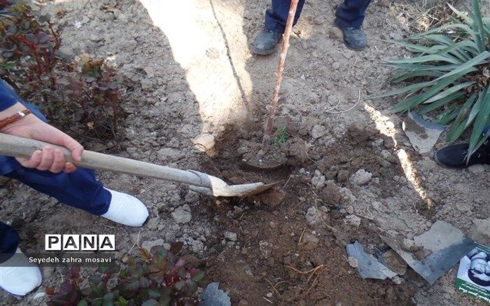 کاشت یک‌ میلیون و 500 هزار درخت مثمر در مناطق کم‌برخوردار
