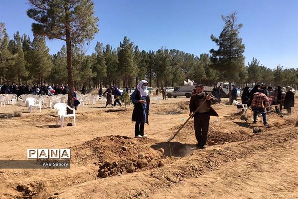 با حضور مسئولان آموزش و پرورش آباده  اجرای پویش ایران سر سبز