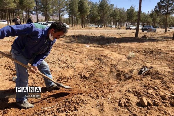 با حضور مسئولان آموزش و پرورش آباده  اجرای پویش ایران سر سبز
