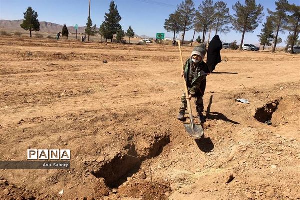 با حضور مسئولان آموزش و پرورش آباده  اجرای پویش ایران سر سبز