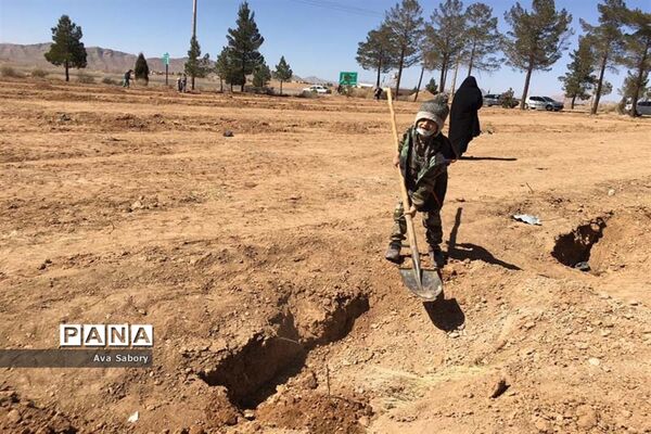 با حضور مسئولان آموزش و پرورش آباده  اجرای پویش ایران سر سبز