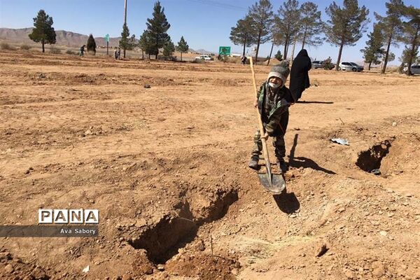 با حضور مسئولان آموزش و پرورش آباده  اجرای پویش ایران سر سبز