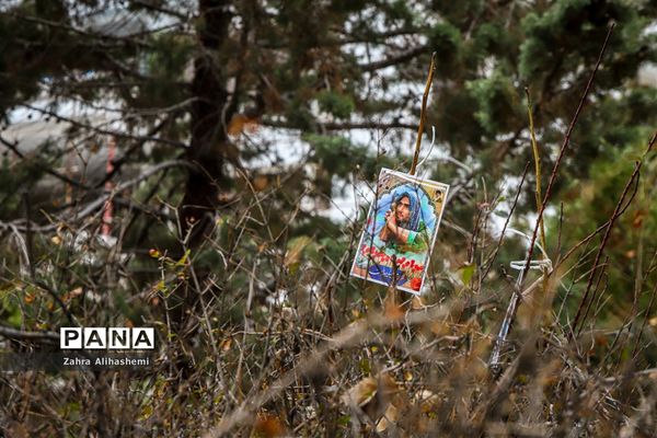 آیین روز درختکاری در اردوگاه شهید چمران تهران