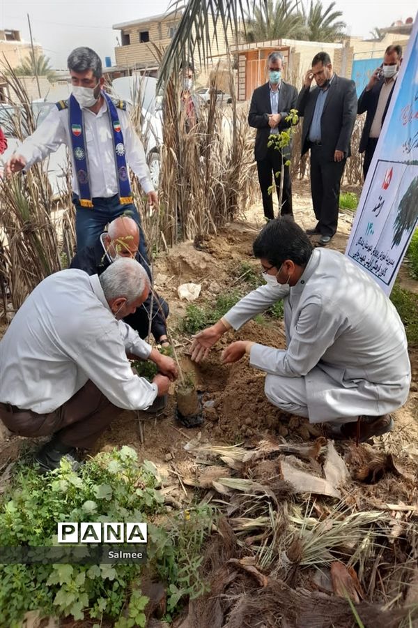 کاشت نهال در مدارس شادگان در روز درختکاری