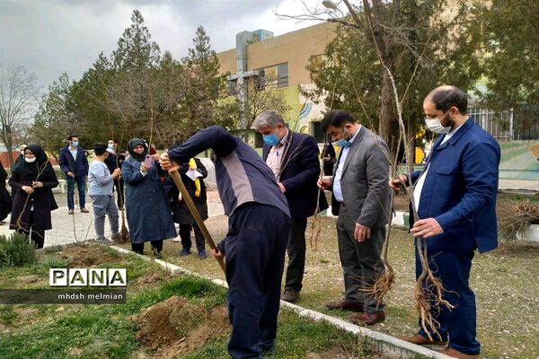 مراسم روز درختکاری در کانون امام خمینی شهر محمدیه (استان قزوین)