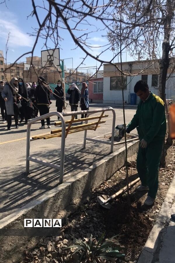 تولدی دیگر در منطقه ۱۵ با کاشت درخت در سطح مدارس