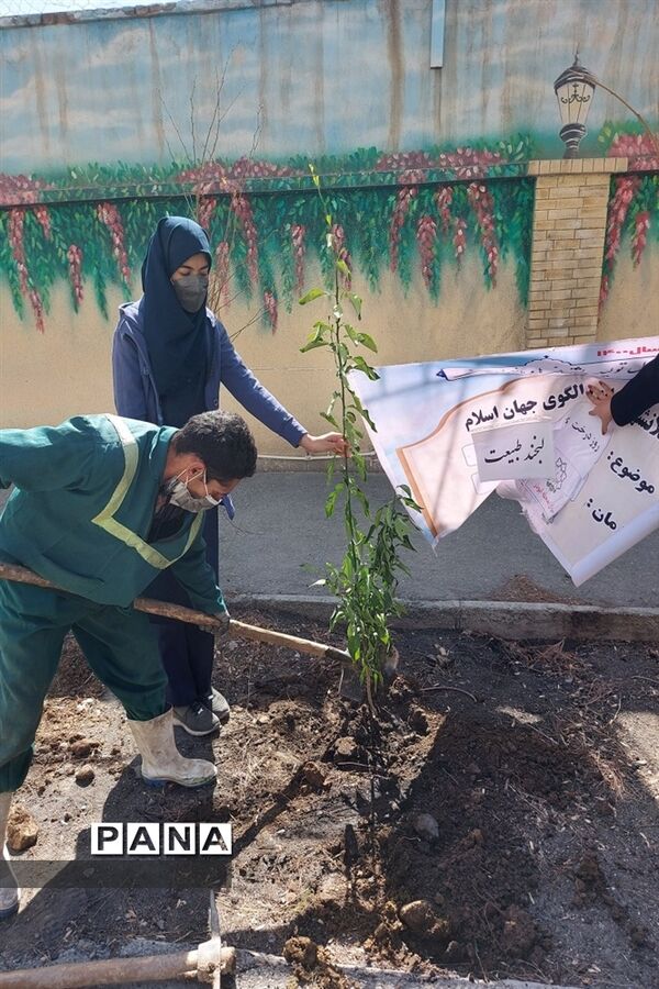 تولدی دیگر در منطقه ۱۵ با کاشت درخت در سطح مدارس