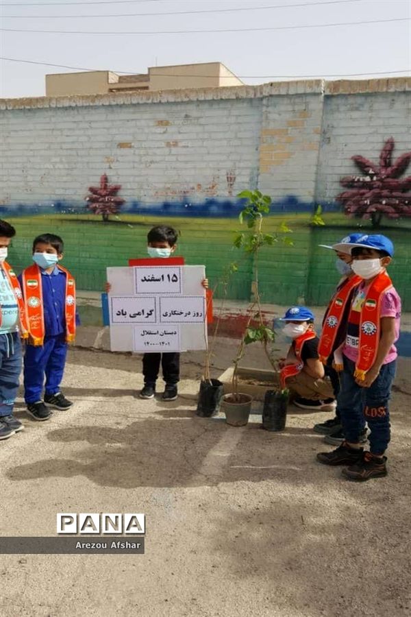 کاشت نهال به‌مناسبت روز درختکاری در مدارس بندرامام خمینی (ره)