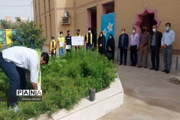 کاشت نهال به‌مناسبت روز درختکاری در مدارس بندرامام خمینی (ره)