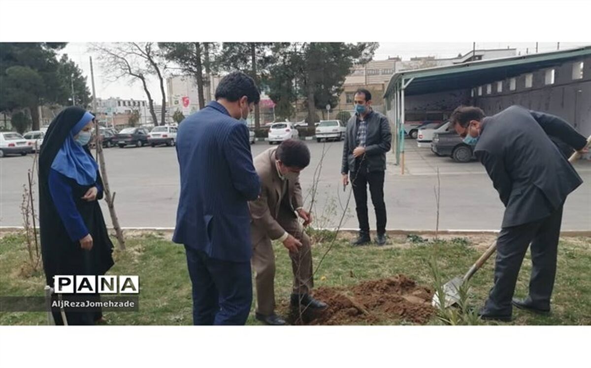 کاشت نهال در اداره آموزش و پرورش کاشمر