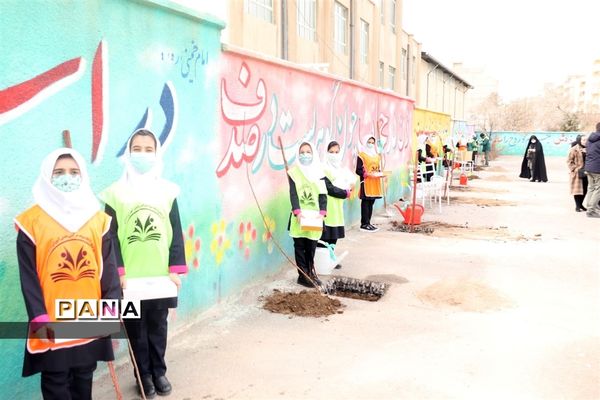 کاشت نهال میوه در روز درختکاری