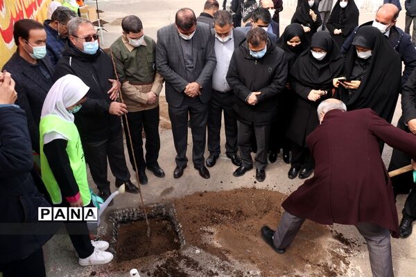 کاشت نهال میوه در روز درختکاری