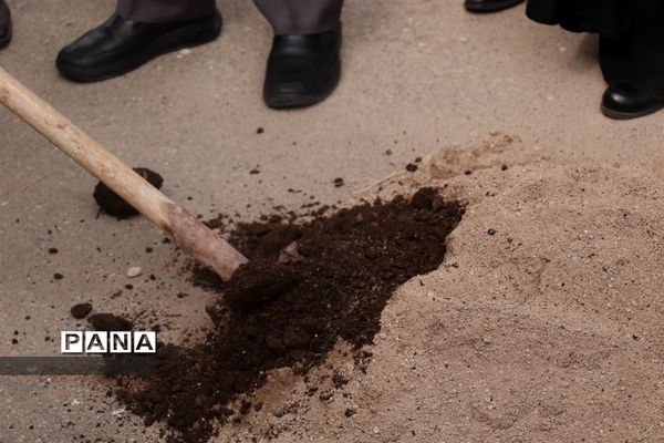 کاشت نهال میوه در روز درختکاری