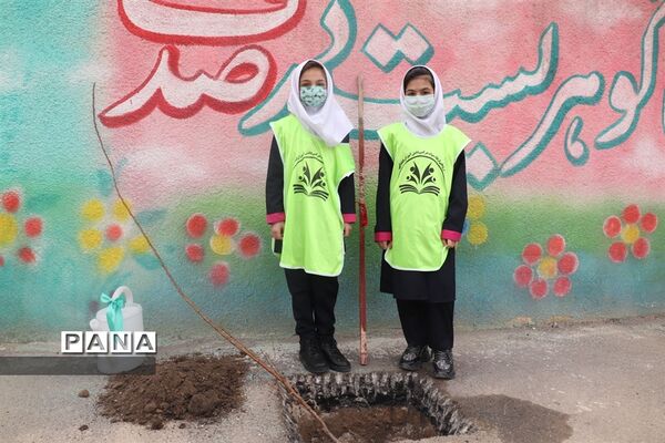 کاشت نهال میوه در روز درختکاری