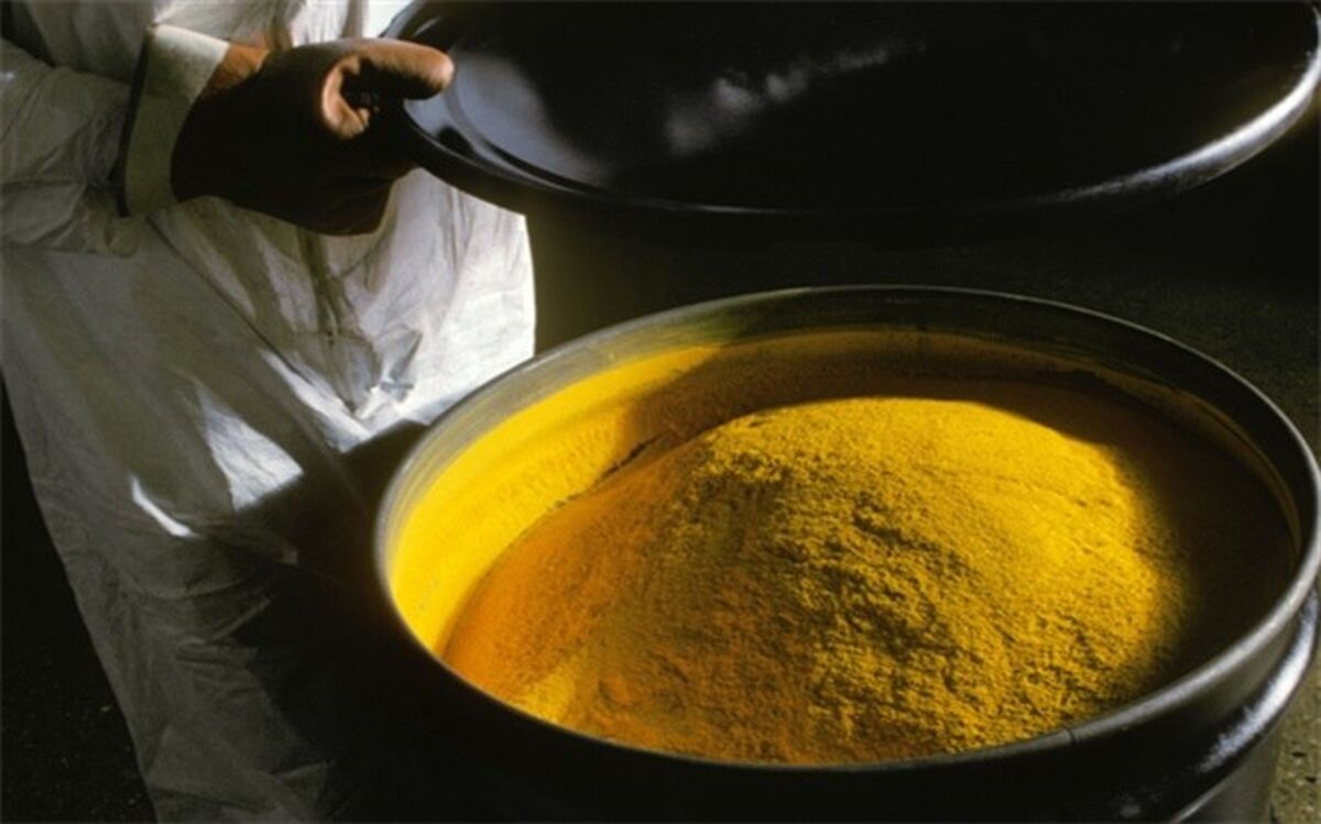 مجوز مجلس برای سرمایه‌گذاری در طرح‌های تملک دارایی‌های سرمایه‌ای جهت خرید کیک زرد
