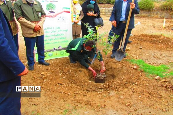 روز درختکاری در اصفهان