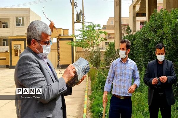 آیین درختکاری در ناحیه 2 اهواز