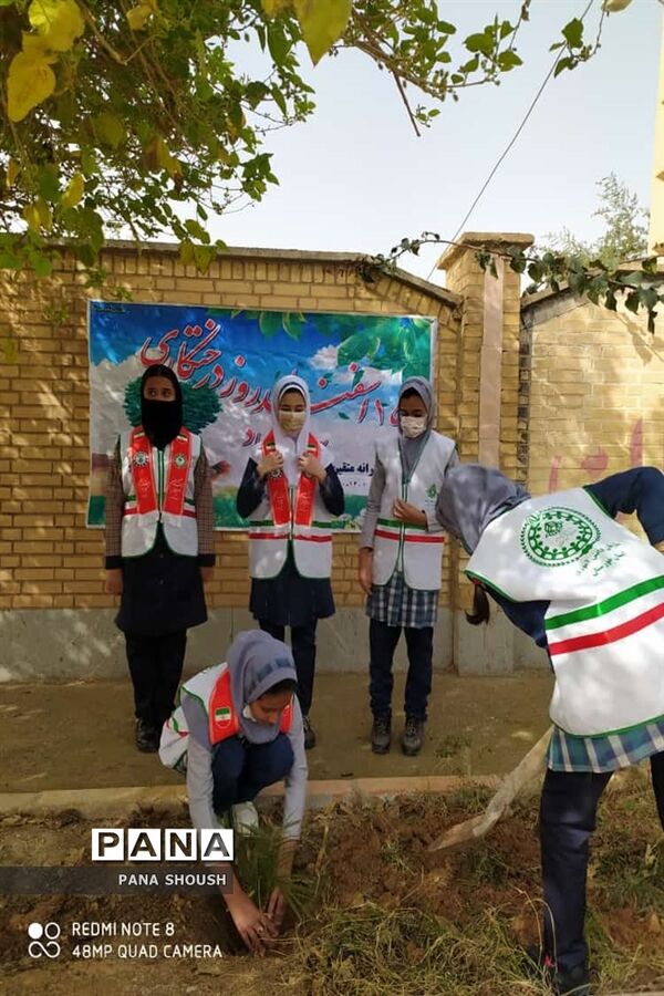 آیین هفته درختکاری در شهرستان شوش