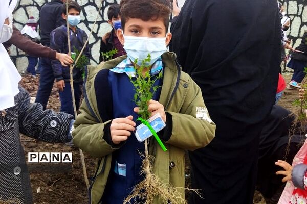 برگزاری پویش ایران سرسبز با  کاشت هر درخت به نام یک شهید در رودهن