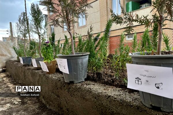 برگزاری پویش ایران سرسبز با  کاشت هر درخت به نام یک شهید در رودهن