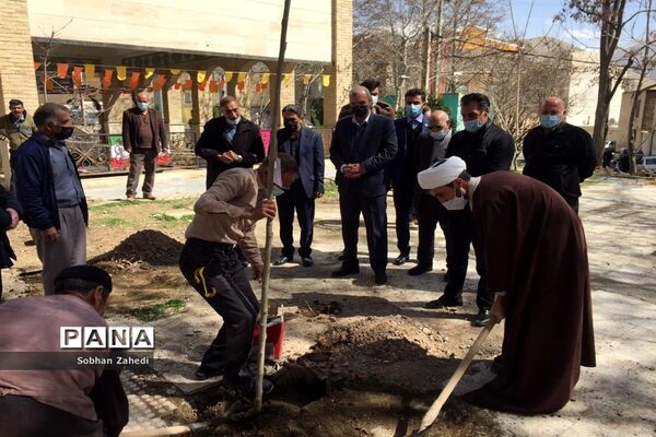 کاشت درخت به نیابت از شهیدان در رودهن