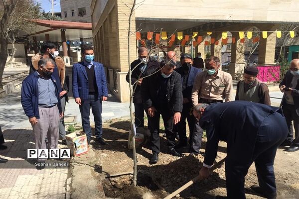 کاشت درخت به نیابت از شهیدان در رودهن