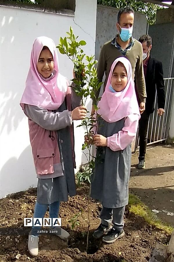 اجرای طرح کمربند سبز روستای شومیا محمودآباد با کاشت یک هزار نهال