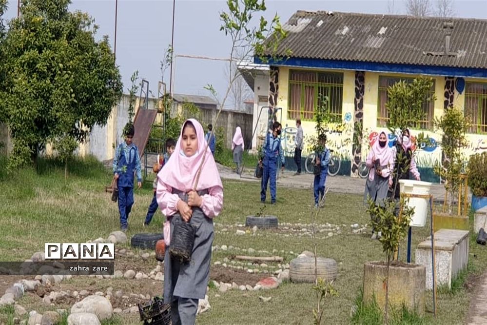 اجرای طرح کمربند سبز روستای شومیا محمودآباد با کاشت یک هزار نهال