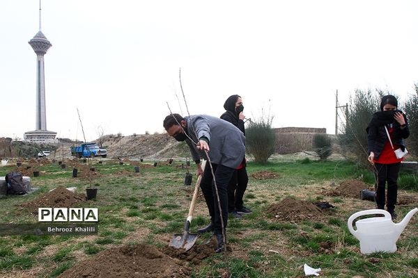 آیین درختکاری هر ورزشکار، یک درخت